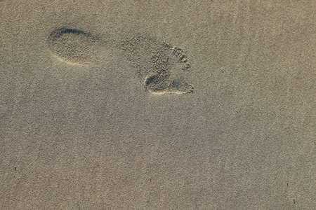 foot prints in the sand on a sunny beach, natural summer textures and patterns, peaceful beach atmosphereの写真素材