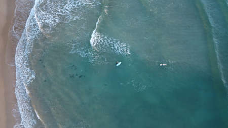 Surfers in the surf waiting for waves in the turquoise ocean off the Victorian Coastline, top down aerial drone viewの写真素材