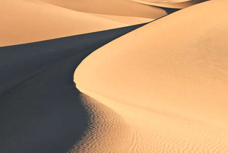 Mesquite Flat Sand dunes located in Death Valley National Park. View of the curves and shadows of the dunes in the morning light.の写真素材
