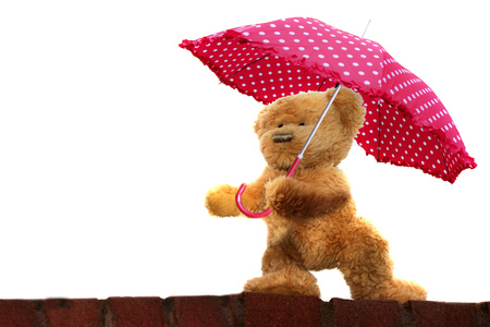 Teddy Bear holding an umbrella on a white backgroundの写真素材