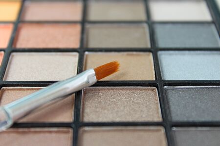 neutral eyeshadow palette with brushの写真素材
