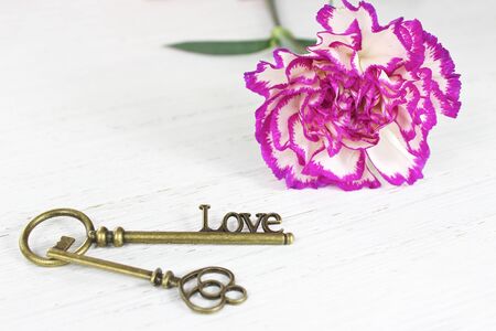 Valentines day key to love and pretty carnation flower on a distressed white wood backgroundの写真素材