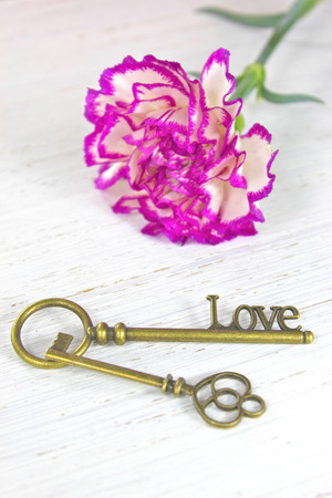 Antique keys with the word Love and a flower on white wooden backgroundの写真素材