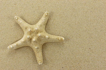 Gold coloured Starfish on golden sand backgroundの写真素材