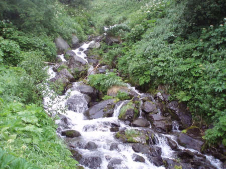 River running amongst treeの写真素材