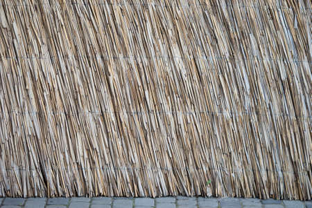 texture interconnected natural cane stalksの写真素材