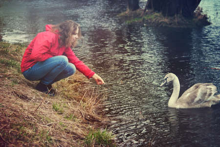 Girl playing with a swanの写真素材