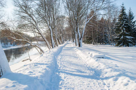 snowy winter landscapeの写真素材