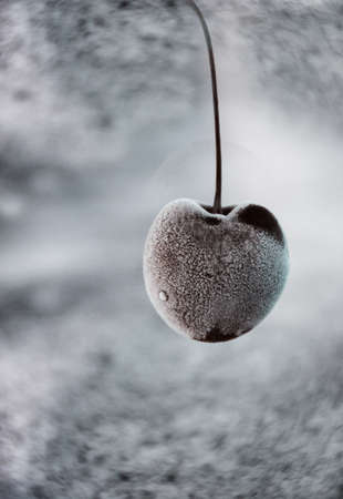 one frozen cherry berry on a gray background