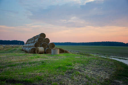 harvested agricultural field in the evening at sunset in autumn