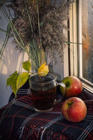 autumn still life: tea and apples with a blanket against the background of a rainy window