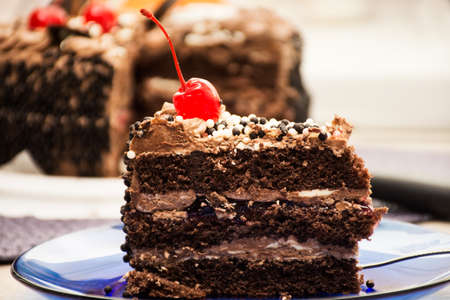 delicious chocolate sliced cake on a plate