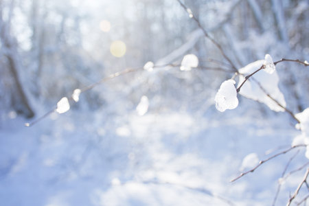 soft sunlight bokeh snow backgroundの写真素材