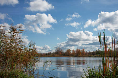 autumn landscape near the river with reeds. the sky with clouds is reflected in the water.