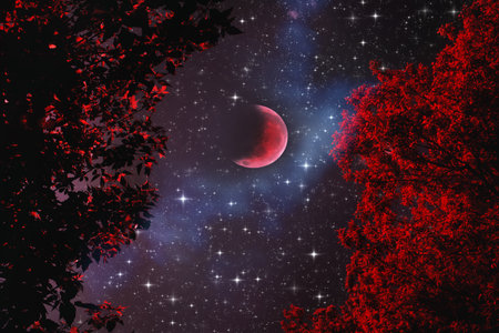 red growing moon in the night sky. leaves of trees. fantasy landscape of a parallel world.