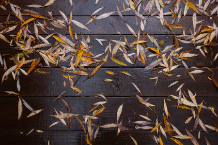 wooden background with fallen leaves in the rain.