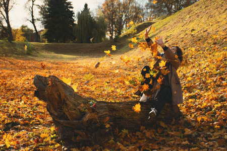A 50-year-old woman sits on a log, plays with autumn leaves in the park on a warm sunny day, catches falling leaves with her hands and laughsの写真素材