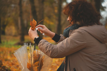 a 50-year-old woman walks in the park in autumn on a warm sunny day, collects falling leaves in an umbrellaの写真素材