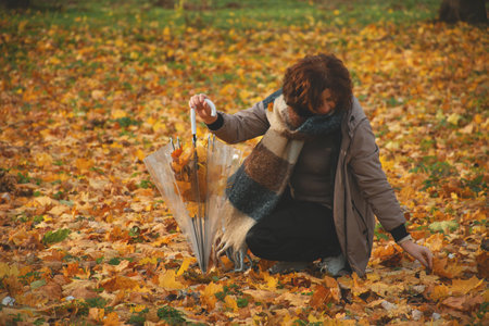 a 50-year-old woman walks in the park in autumn, collects falling leaves in an umbrellaの写真素材