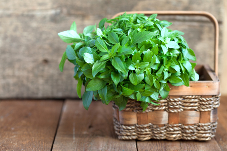 Bunch of fresh green basil in a basket on a wooden table, selective focusの写真素材