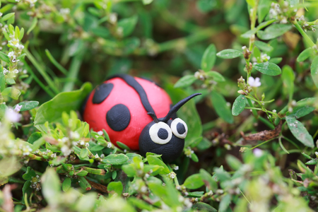 Plasticine world - little homemade red ladybug sitting in the green grass with flowers, selective focus on headの写真素材