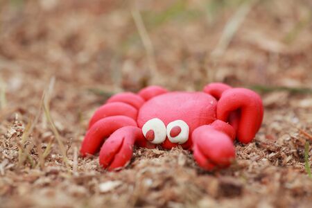 Plasticine world - little homemade red crab sits on the sawdust, imitating the sand, selective focus...