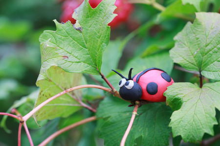Plasticine world - little homemade red ladybird sitting on a leaf viburnum, selective focus on headの写真素材