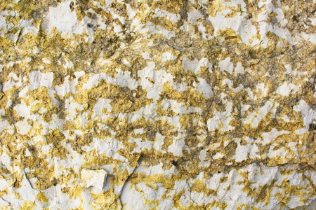 Surface of the old stone with yellow green mossの写真素材
