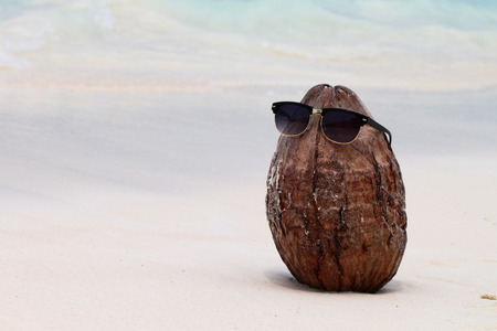Coconut in sunglasses in sand on the beach, Thailandの写真素材