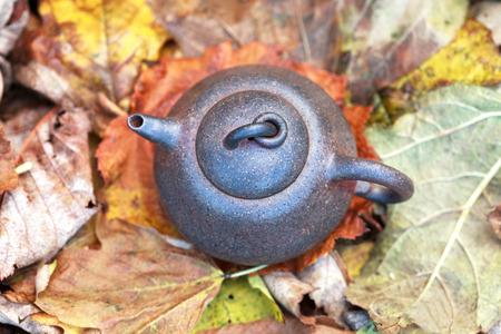 Traditional chinese tea ceremony accessories tea pot amongst autumn leaves, selective focusの写真素材