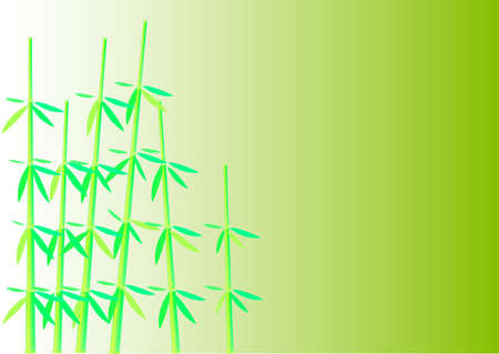 Beautiful bush of a bamboo のイラスト素材