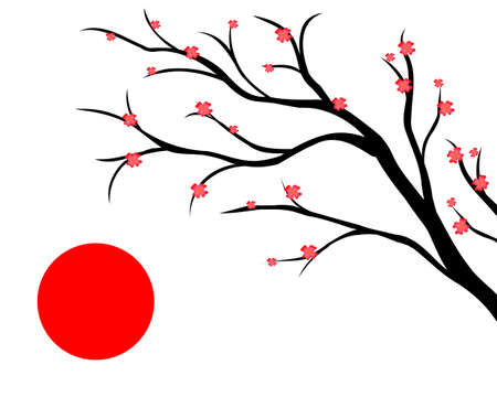 branch of cherry, japanese styleのイラスト素材
