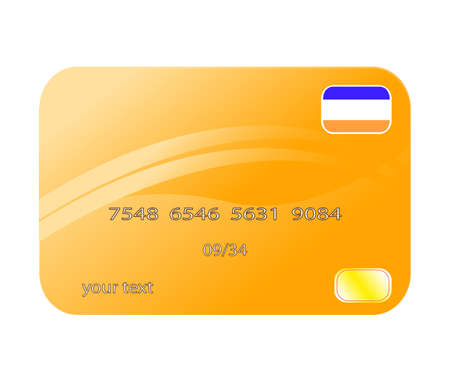 Professional icon of a credit cardのイラスト素材