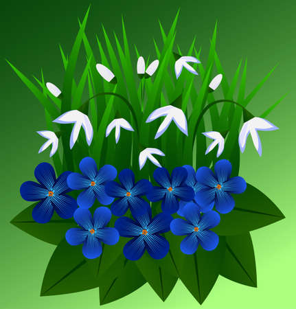 blue and white flowers designのイラスト素材