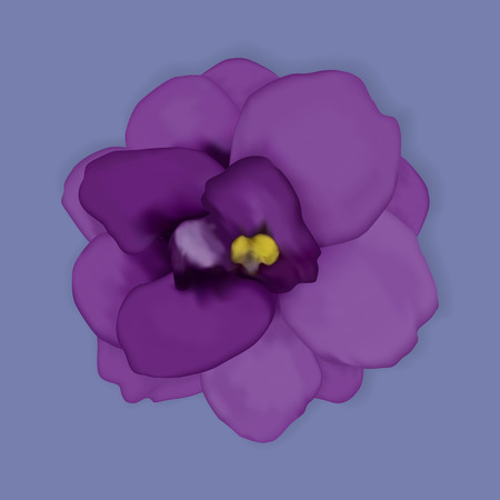 Vector violet flower. Realistic light purple flower on the blue background. Isolated viola.のイラスト素材