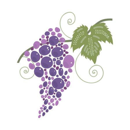Bunch of grapes vector illustrationのイラスト素材