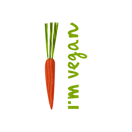 Vector illustration of carrotの写真素材
