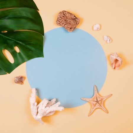 Womens traveler accessories: coral, shell, starfish, tropical leaf monstera with copy space on yellow background. Summer concept of travel backgroundの写真素材