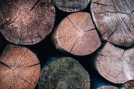 Colored logs. Old wooden texture background. Creat background with copy spaceの写真素材