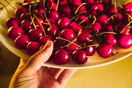 Hand holding plate with cherries top view. Ripe summer berries in white bowl. Woman serving fruit...