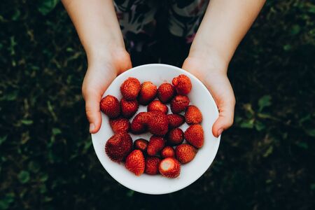 Holding plate of strawberries in hands. Natural, organic produce. Fresh fruit salad ingredient....