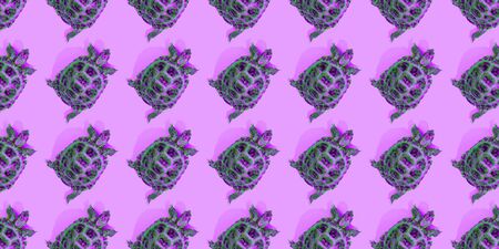 Turtle on duotone background trend flat lay concept with fashionable toning. Many turtles patternの写真素材