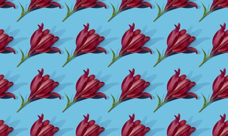 Seamless pattern of red lilies on blue background trend flat lay concept with fashionable toning. Many flowers patternの写真素材