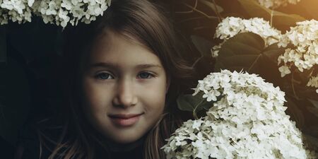 Cute little girl in blooming hydrangeas. Person and flowers on natural background with sushine. Child enjoying bouquet outside. Going to park, forest in summer and spring. Connection with nature ideaの写真素材