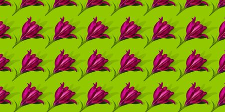Pink lilies on green background trend flat lay concept with fashionable toning. Many flowers patternの写真素材