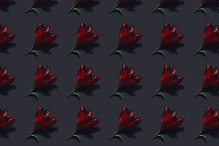 Red lilies on dark background trend flat lay concept with fashionable toning. Many flowers patternの写真素材