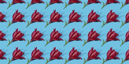 Red lilies on blue background trend flat lay concept with fashionable toning. Many flowers patternの写真素材