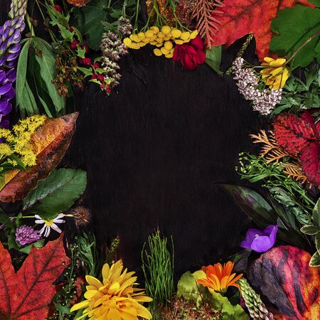 Autumn composition with copyspace on dark background. Frame made of dried flowers and autumn leaves. Top view, flat lay. Hello autumn conceptの写真素材