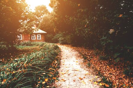 Wooden house with road with orange and yellow leaves in forest during autumnの写真素材