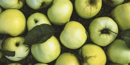 Sweet green apple top view background. Juicy summer autumn fruit backdrop. Sugar containing fruit, summer harvest from above. Fresh vegetarian nutrient, vitamin source, delicious dessert closeupの写真素材